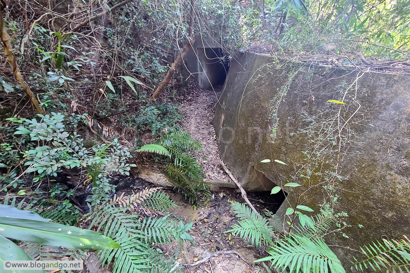 Shing Mun Redoubt - Haymarket Trench Position